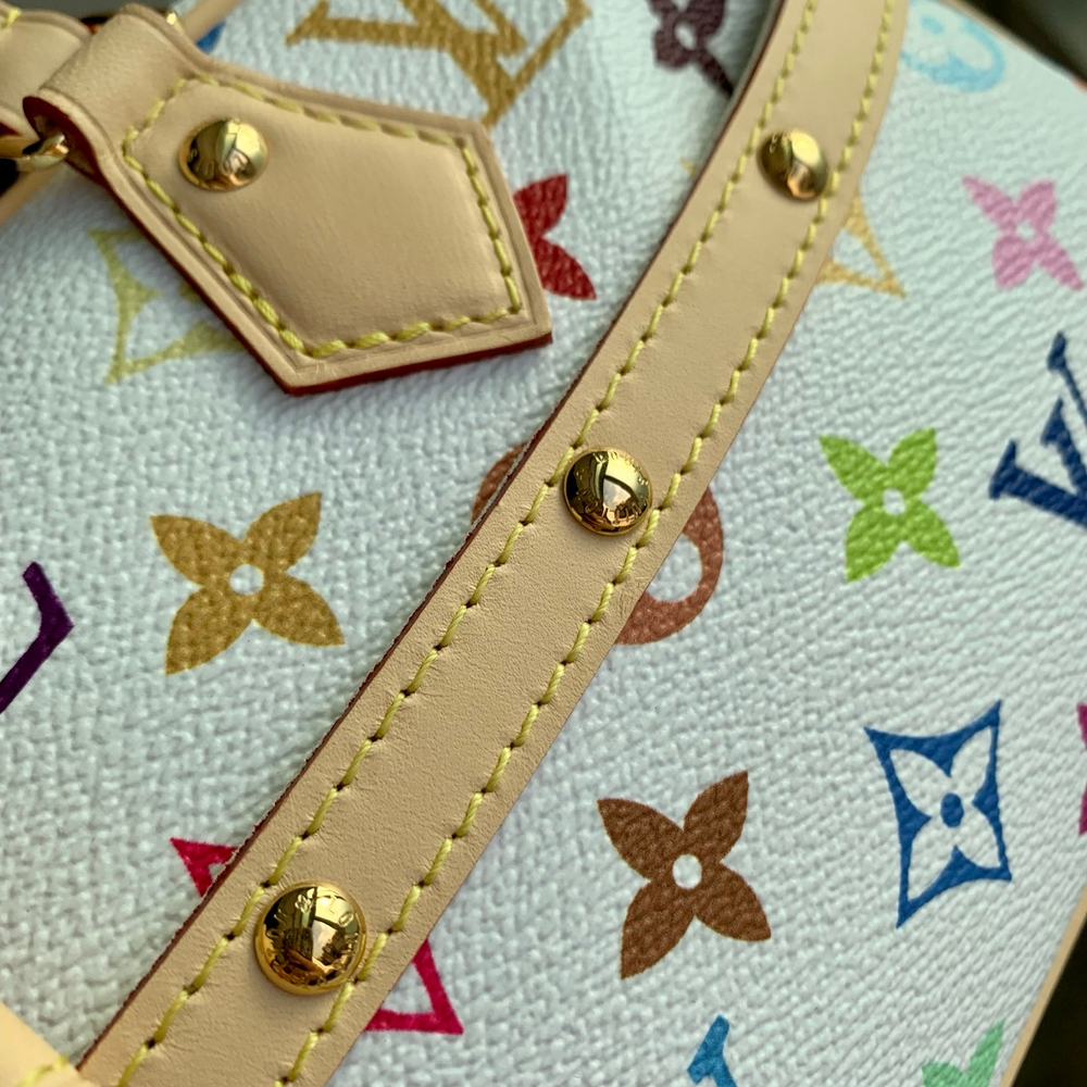 Louis Vuitton Handbag East West