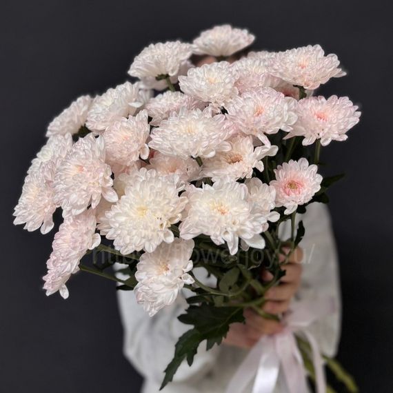 Букет из нежно-розовой хризантемы