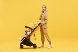 Детская прогулочная коляска Anex AIR-X Ax-04/L yellow