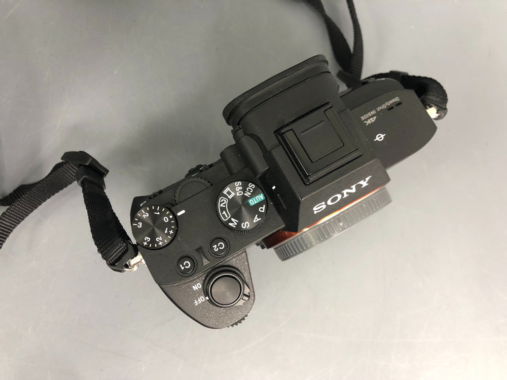 Sony A7 III (10.010 кадров)