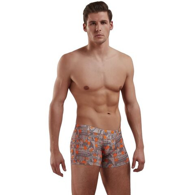 Мужские трусы-боксеры Doreanse Sports (Размер: XL) (Цвет: серый)