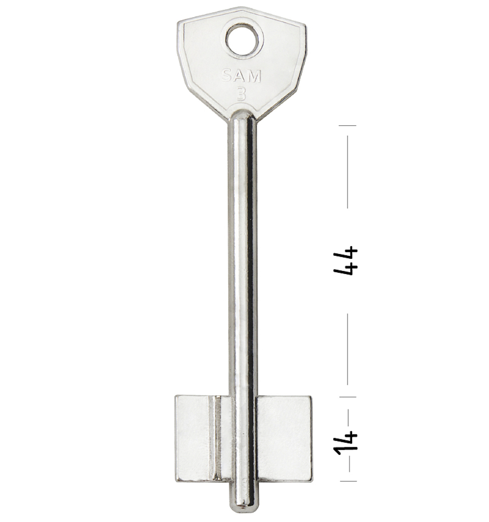 Заготовка сувальдного ключа 10731 SAM3D