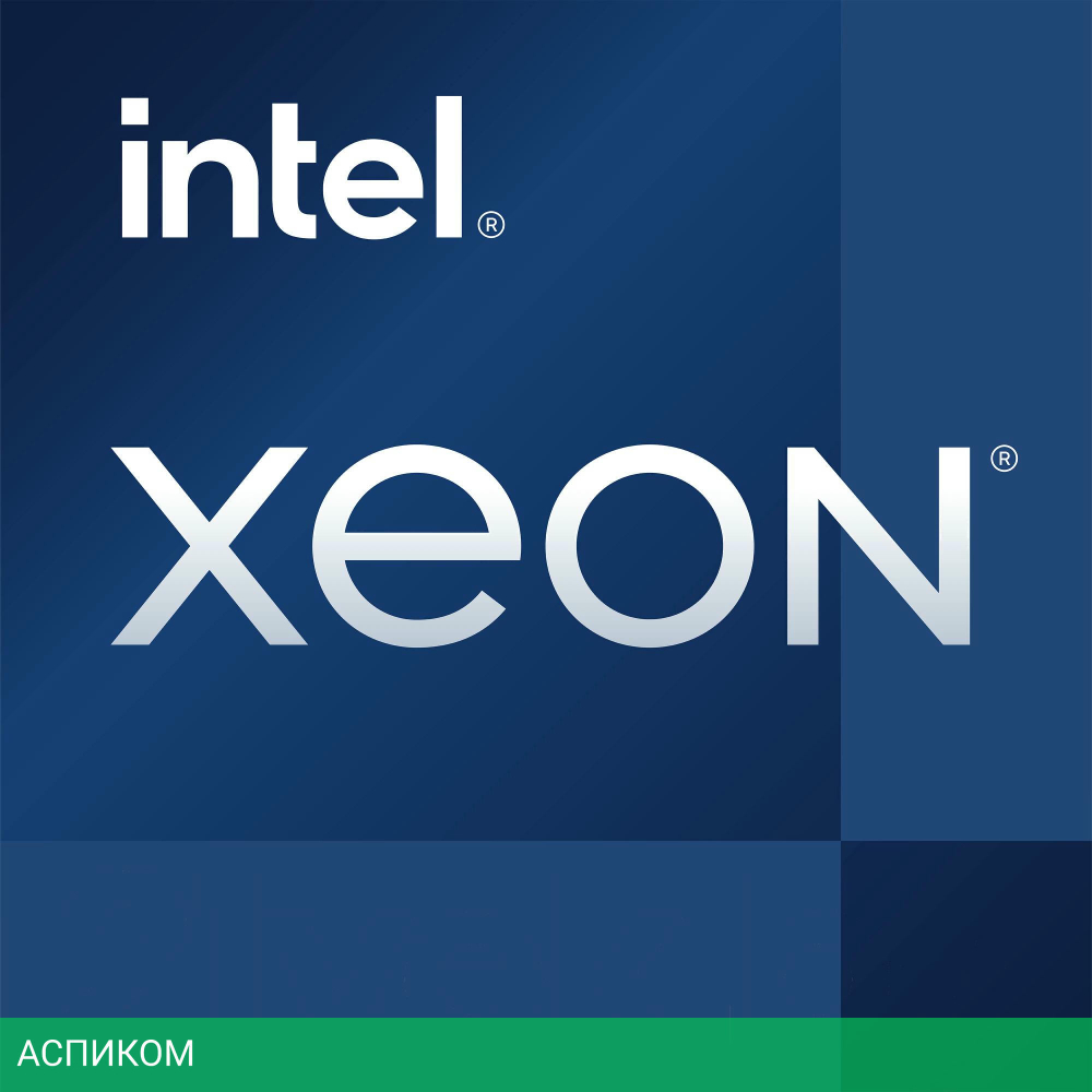 Процессор Intel Xeon E-2336 OEM (CM8070804495816)
