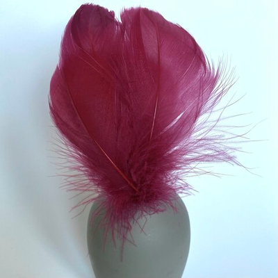 Гусиные перья 5-13 см вишневые 20шт.