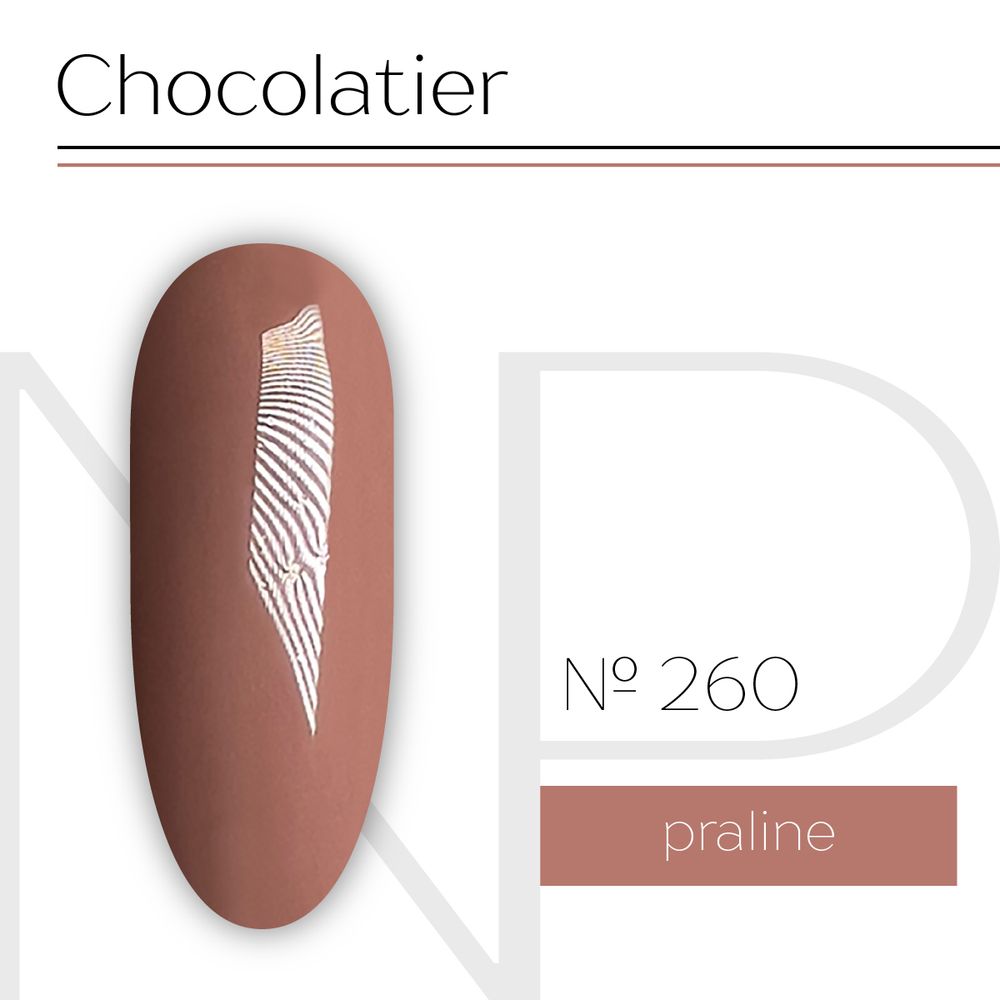 Nartist 260 Praline 10g