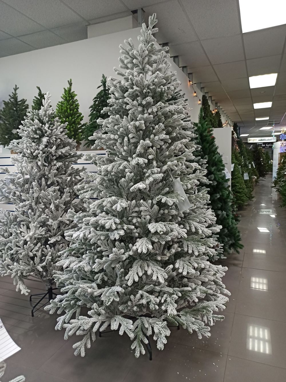 Заснеженная елка «Александрийская» (Литая хвоя) от 1.8 м до 2,4 м