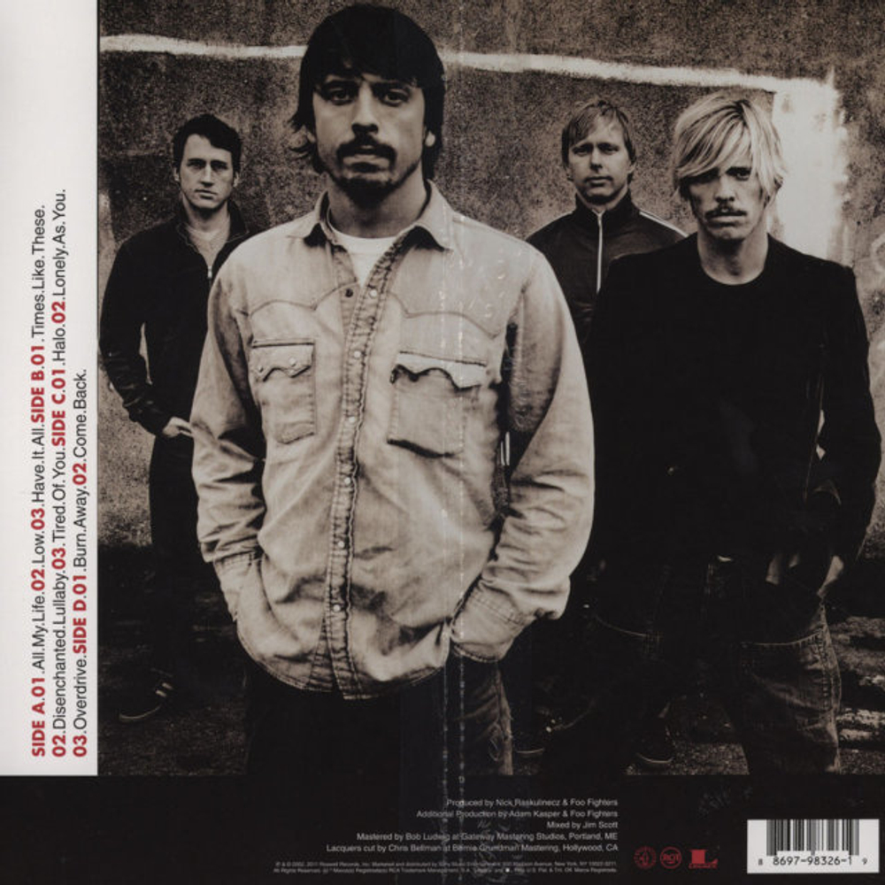 Foo Fighters / One By One (2LP)