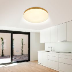 Светильник потолочный светодиодный ЭРА Классик с ДУ Relict 48 Pult SPB-6-60-RC MG 60Вт 3000-6500К Золото | Светильники SPB-6 с ДУ