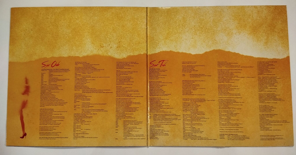 Винтажная виниловая пластинка LP Roger Waters The Pros And Cons Of Hitch Hiking (UK 1984)
