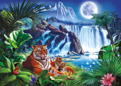 Коллекция Животные