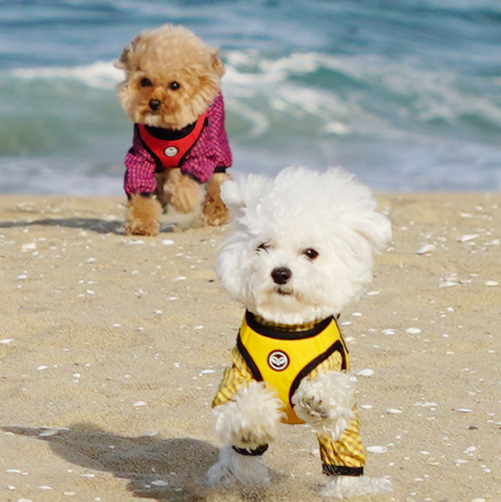 030 PA-HA Шлейка (фиксатор-пряжка с защелкой, размер-в-размер) Puppy Angel