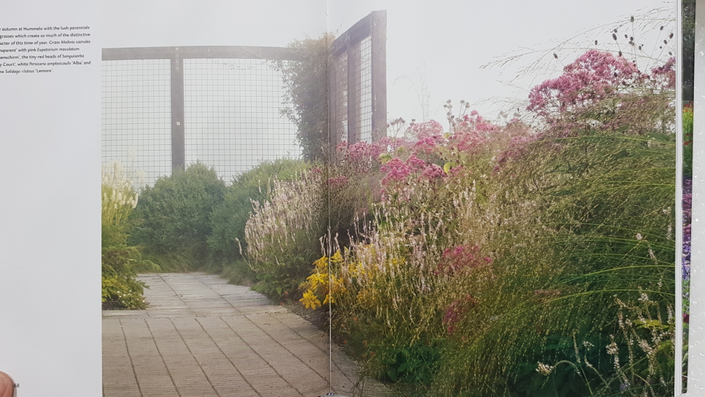 Planting: A New Perspective