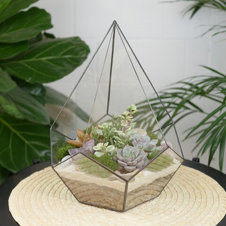 Готовый флорариум с суккулентами Капля Laaroom