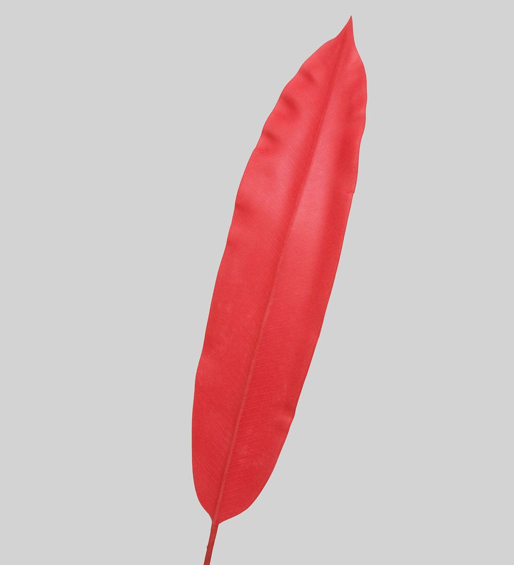 TR 526 Банановый лист