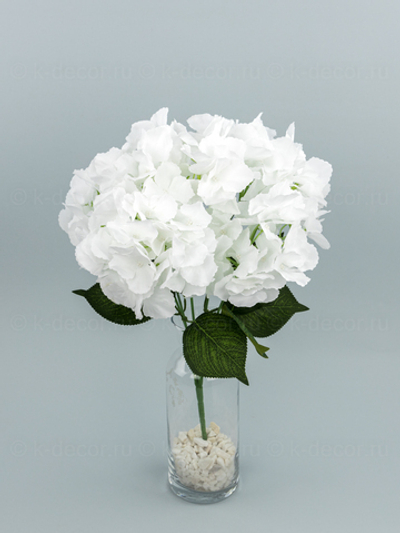 Букет гортензии Особенная