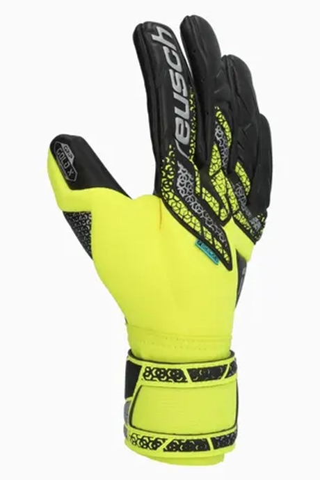 Вратарские перчатки Reusch Attrakt Gold X NC