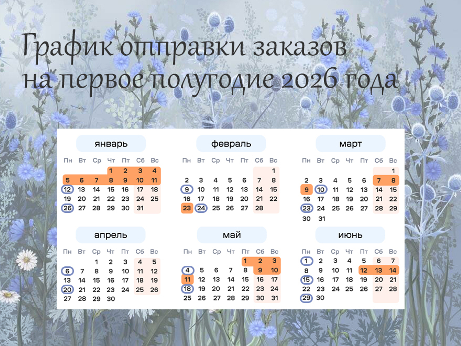 График отправки заказов на первое полугодие 2026