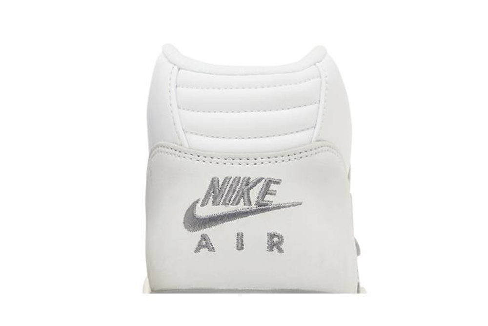 Кроссовки Nike Air Trainer 1 "Photon Dust"