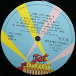 Girl / Wasted Youth (LP)