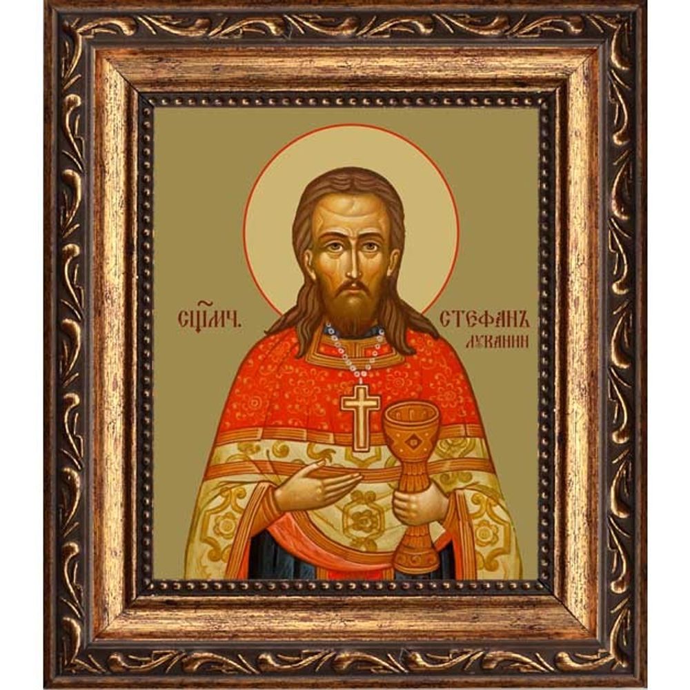 Стефан Луканин, пресвитер, священномученик. Икона на холсте.