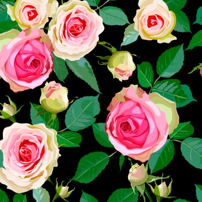 Розовые розы