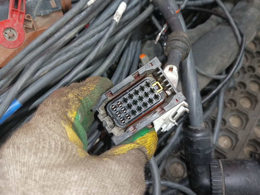 Проводка шасси основная 2019г