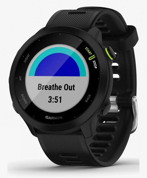 Умные часы Garmin Forerunner 55 Black