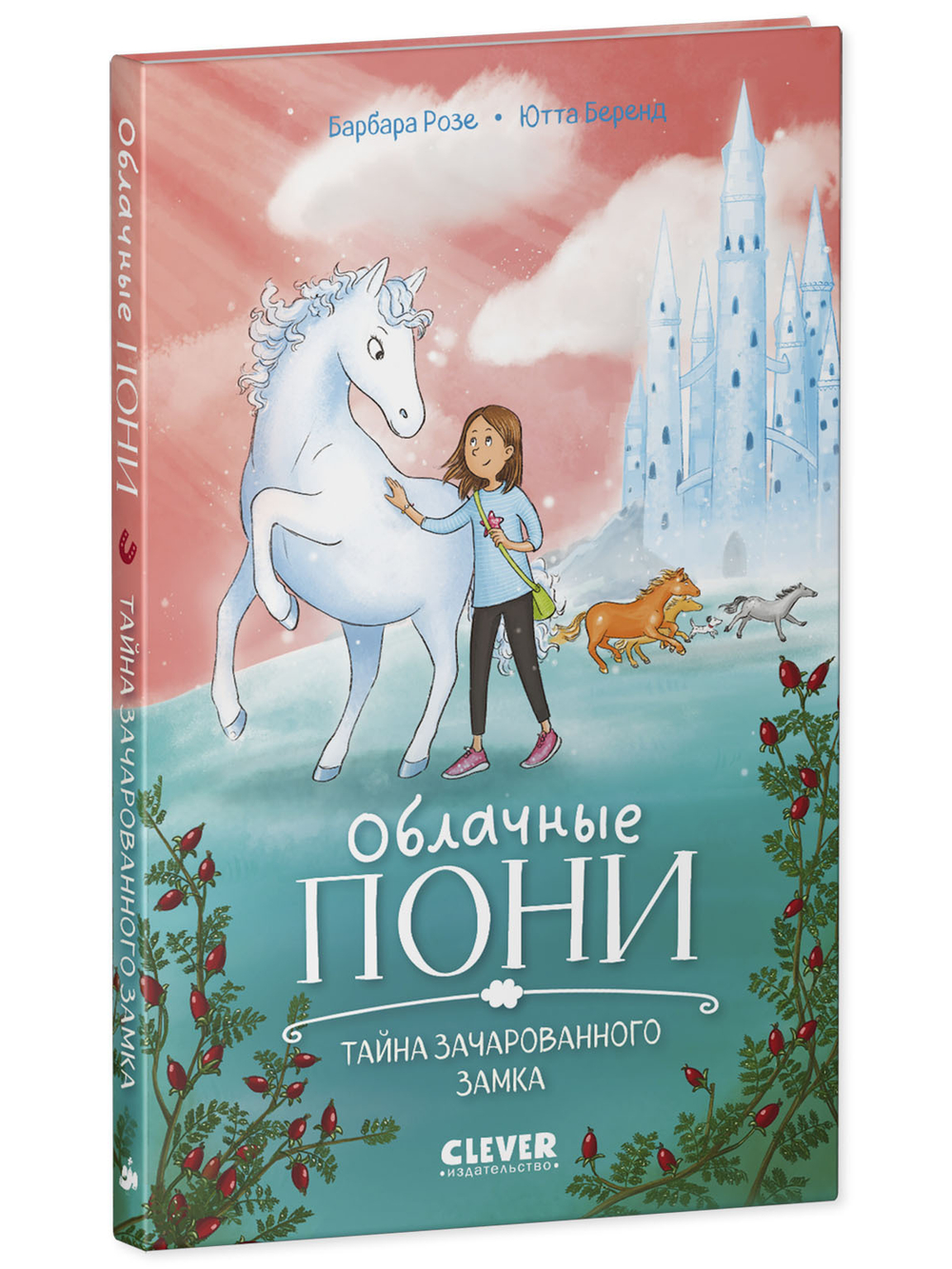Облачные пони. Тайна зачарованного замка