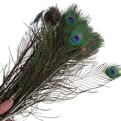Перо павлина длинное "глаз" натуральное 2 сорт