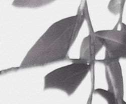 Бесшовная фреска 25339, 2,7 м (Ширина 4 м)