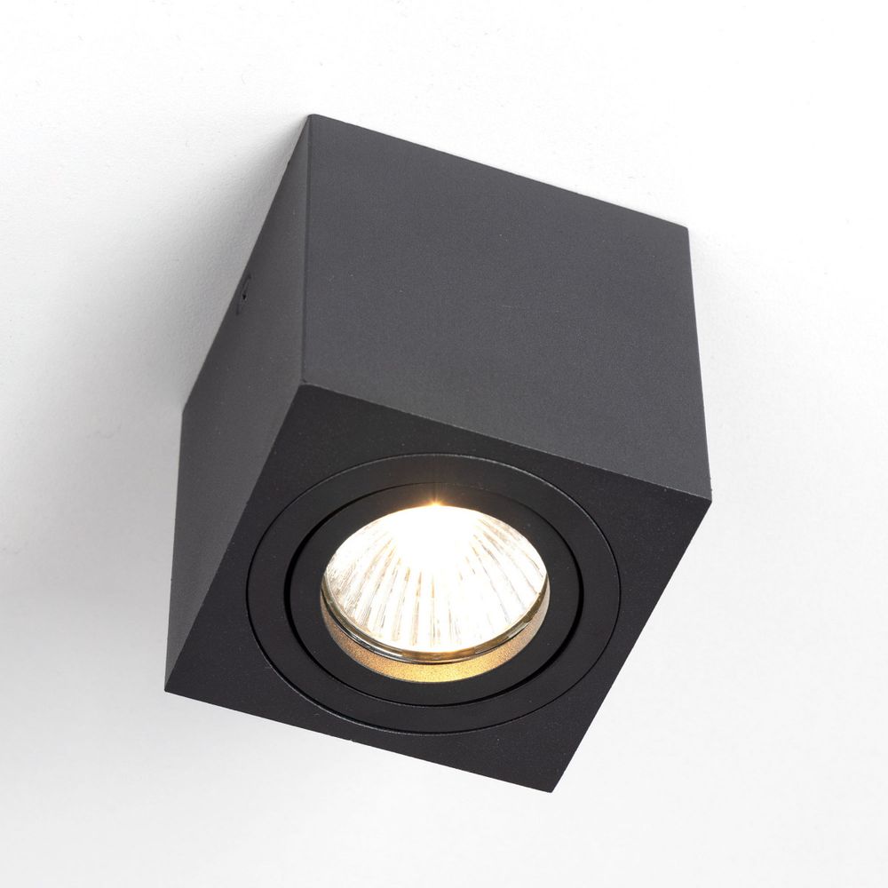 Citilux Дюрен CL538213 Светильник накладной поворотный Чёрный