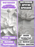 3D объемные фотообои белые цветы барельеф