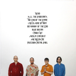 Weezer / Van Weezer (Limited Edition)(Coloured Vinyl)(LP)