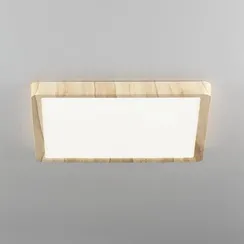 CL738K242V Бейсик Клен Св-к Накл. LED 24W*Мульти