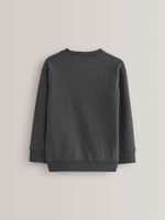 Толстовка для мальчика Next 162-853, Темно-серый