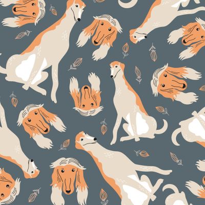 Собаки (борзая)