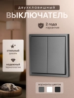 Выключатель двухклавишный внутренний с рамкой серый