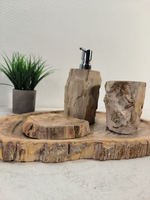 Набор из окаменелого дерева 4 предм Fossil Set NF-63062 поднос 29см*43см