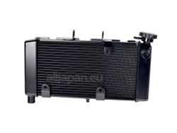 19010-MGS-D31 RADIATOR ASSY, WATER
