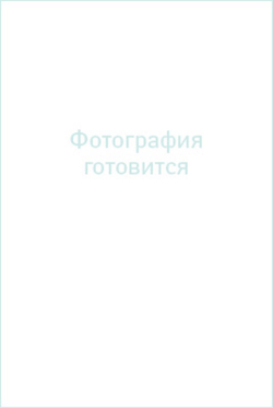 Юбка женская 3884ВП, серый #485Сер013884ВП