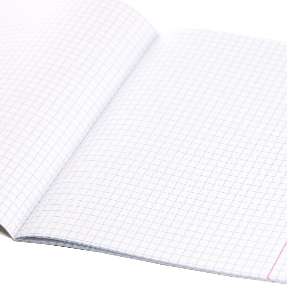 Тетрадь предметная 36л. А5 "Физика", клетка, со справочным материалом, скрепка, мелованный картон (стандарт), блок офсет, Alingar "Anime boys"