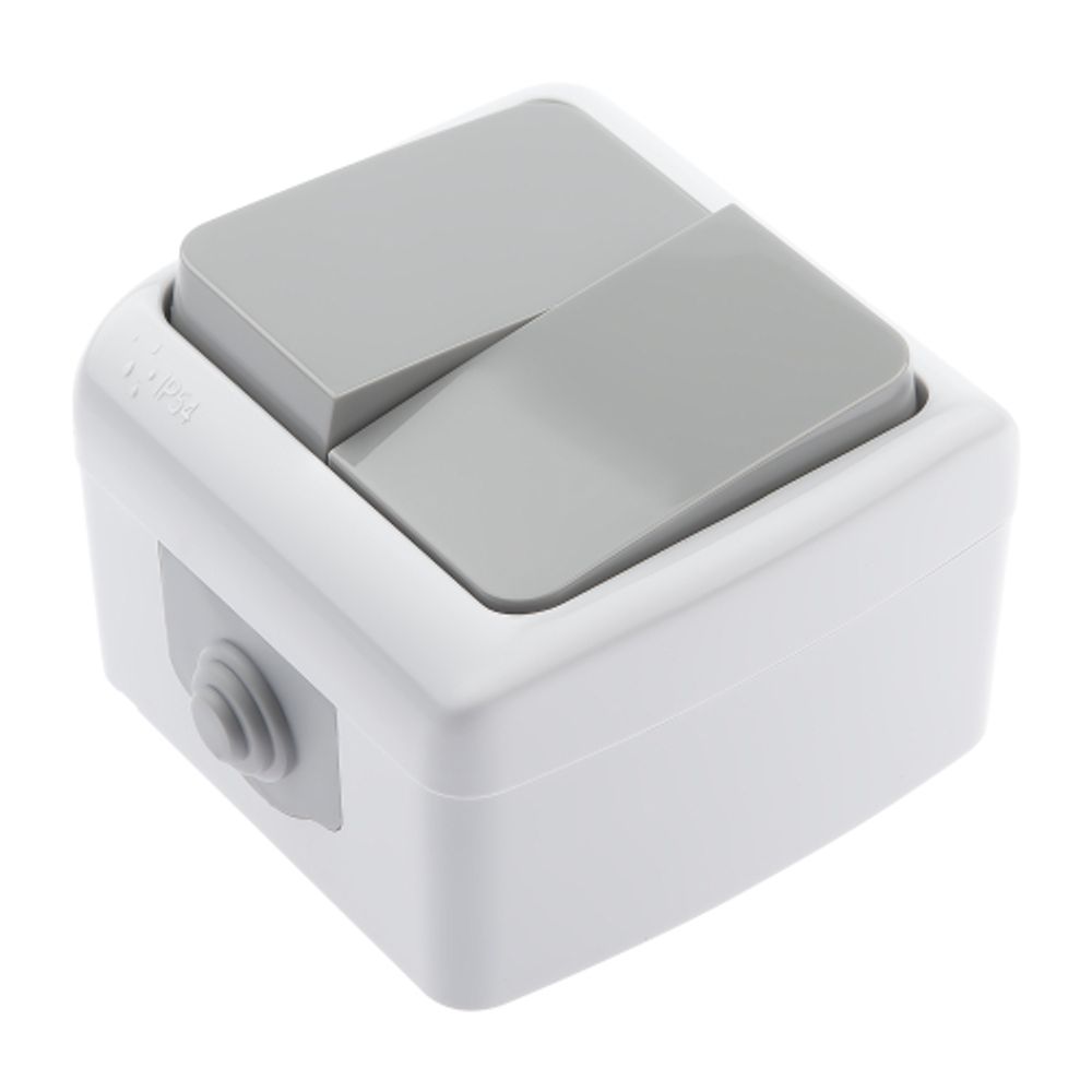 Выключатель Intro Atlantic 5-104-03 двойной, 10А-250В, IP54, открытой установки, серый | Intro