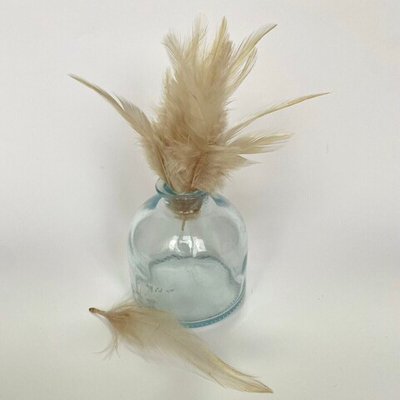 Перья петуха крафт 2 сорт 20 шт.