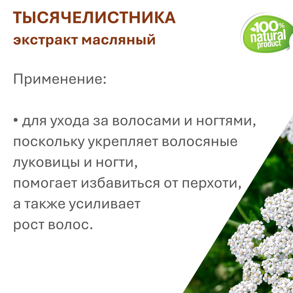 Экстракт тысячелистника, масляный