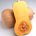 Матильда F1 семена тыквы (Enza Zaden / Энза Заден)