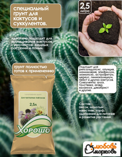 Грунт торфяной "Для кактусов и суккулентов", 2,5 л