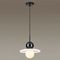 Подвесной светильник Odeon Light Hatty 5014/1D