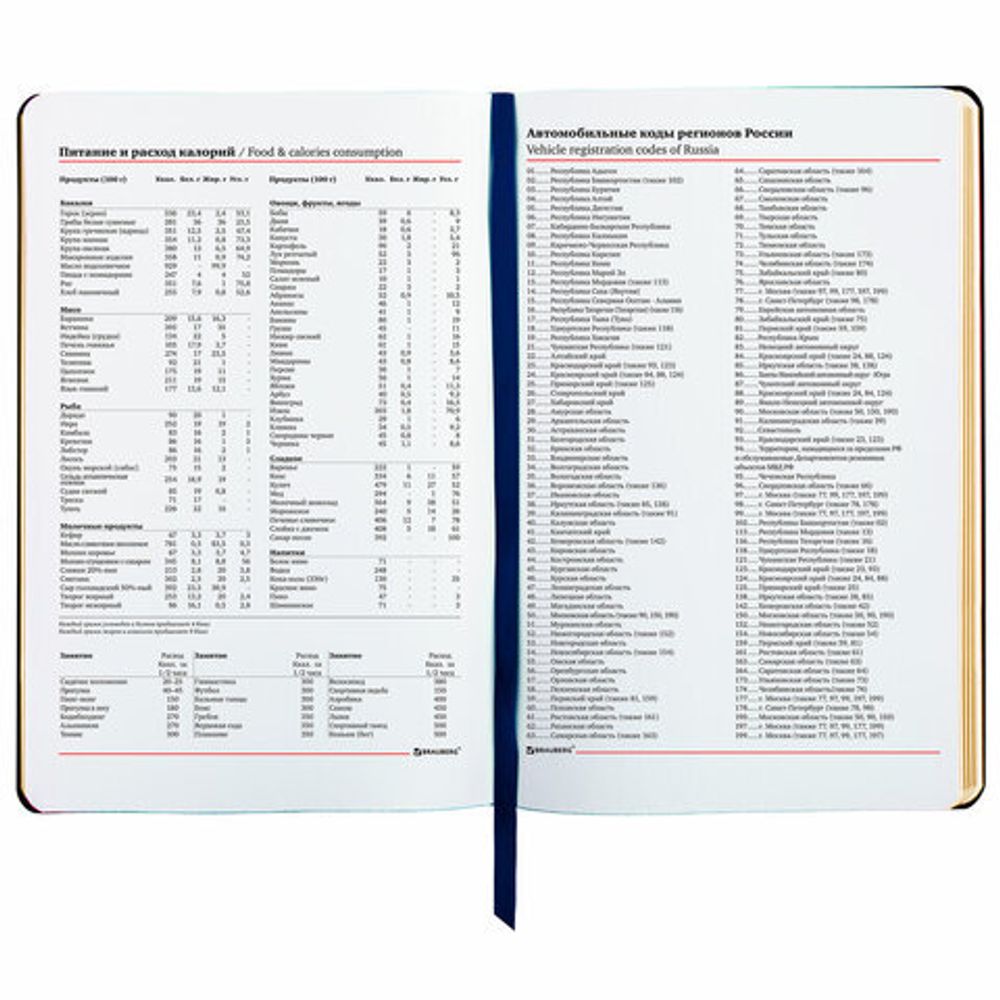 Ежедневник недатированный А5 (138х213 мм), BRAUBERG VISTA, под кожу, гибкий, 136 л., "Sky boat", 112042