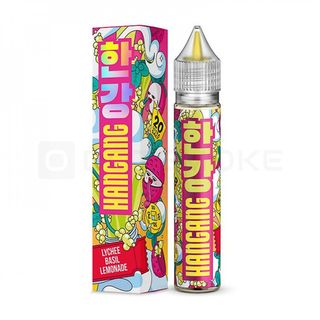Купить Hotspot Hangang Salt 30 мл - Lychee Basil Lemonade (Ultra)