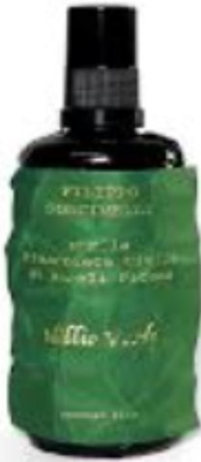 FILIPPO SORCINELLI IDILLIO VERDE HOME SPRAY 100 ML